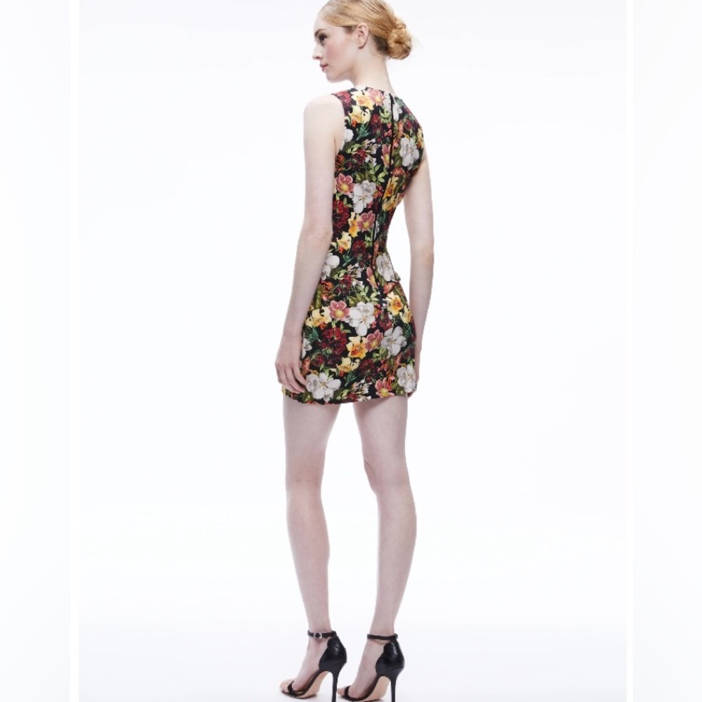Alice and Olivia Wynell Mini Dress NWT - Picture 2 of 16